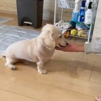 ダンボールで塞がれて…