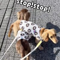 「たすけて！！」