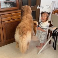 誰かが来た！！