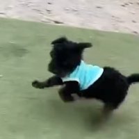 これからも幸せでいてね