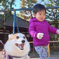 やる気