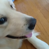 床でリラックス中