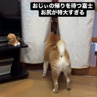 おじいちゃんが来ると…