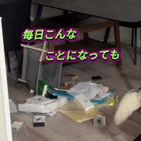 いたずらは毎日続いた