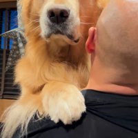 無表情でカメラを見つめる犬