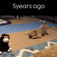 驚いて前足がピョンッ