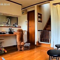 立ち上がるいっきゅう君