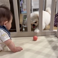 ゆるりと時間が過ぎていきます