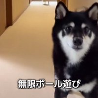 マイペースなあさちゃん