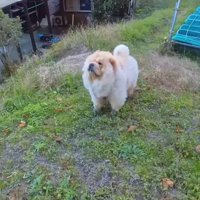 まったく気にしてない！