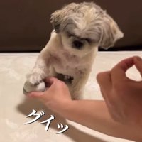 グイッとお手々に当ててチン♪