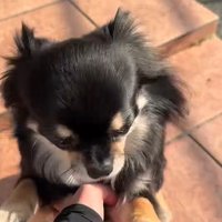 まる君とお姉ちゃんの再会⑩