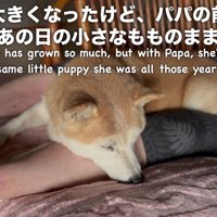 睡魔に負けてスヤスヤ…