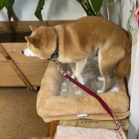 どこに行けばいいか分からない