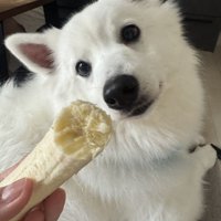 バナナ