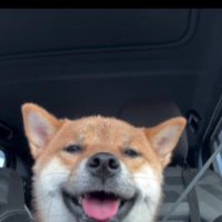 くま丸くんもニコニコ笑顔に…♪