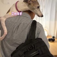 雷が鳴った時のきびちゃん5