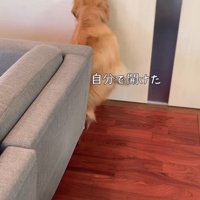 サンちゃんの熱烈歓迎5