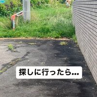 ぶん太くんとパパさんのお散歩