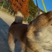 お散歩中に撮影した写真を見てみたら…