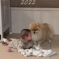 生まれたときから一緒