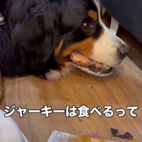 最期の食事はジャーキー