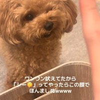 反抗的な表情