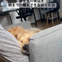 一睡も寝られなかった朝