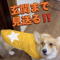 一気に上機嫌に