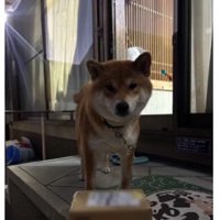 いつでも荷受けするよ♪