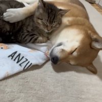 2匹とも幸せそう♡