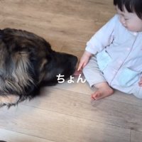 繰り返す娘さん