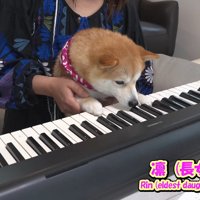 凛ちゃんは興味津々！