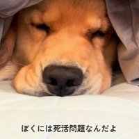 食べ物の恨みは大きい…