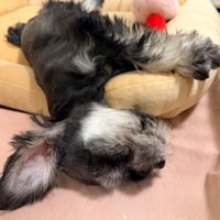 初日から大物ぶりを見せていた