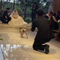 なんとか上座の方へ…