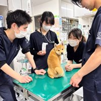 平和な処置室