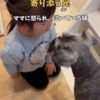 女の子に寄り添うこたろう君2