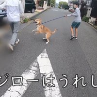 散歩中にお母さんに会った時のワンジローくん8
