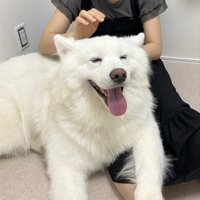 溶ける