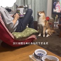人の前に座る犬