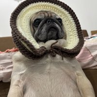 まるで牡蠣みたい！？