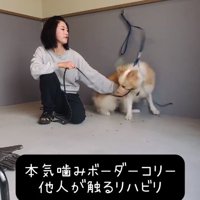 噛みつこうとするそらくん