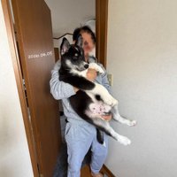 その後もすくすく成長