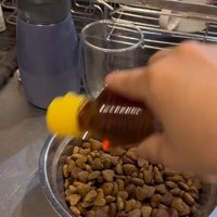 ご飯にごま油をかけるふりをする飼い主