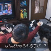 ゲームが終わってから撫でたら…