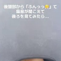 背後から鼻息が…