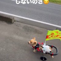 なんだか誇らしげ♪