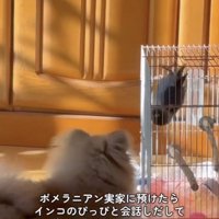 降りてきてくれた