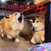 嫌すぎて吠え始めました！